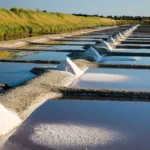 marais salants ile Olonne