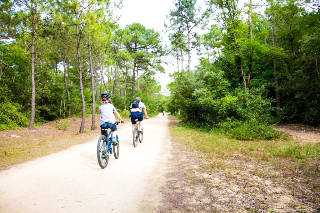 pistes cyclables velo dans la forêt d'olonne à quelques minutes du camping le petit paris