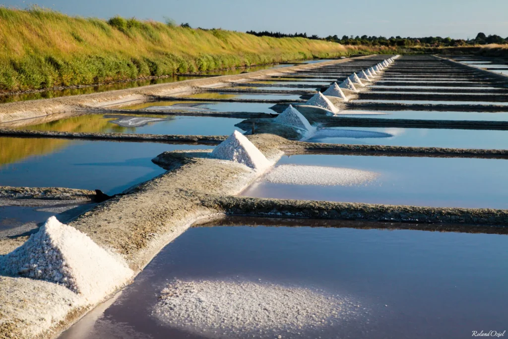 Tas de sel récolté en pyramides dans les marais salants de l'Île d'Olonne sous une lumière de fin de journée.